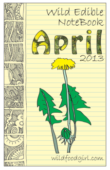 Wild Edible Notebook—April release! WEN April 2013 640 226x350 Wild Edible Notebook—April release!
