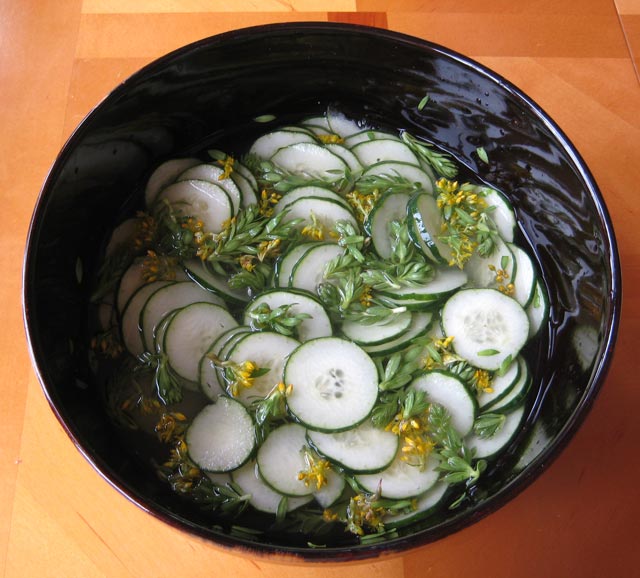 Pickles with roseroot and stonecrop flowers, how pretty!