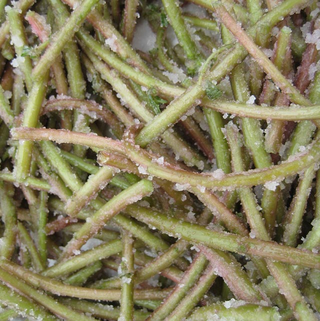 Sugar-coated purslane stems in the process of pickling.