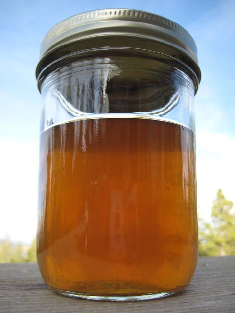 The pungent curly-cup gumweed tincture with which I treated my dry cough.