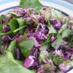 Dandelion spinach salad with red clover petals and red cabbage, delicious!