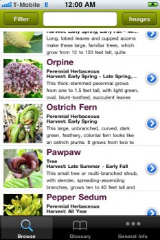Wild Edibles app by Steve Brill and WinterRoot. Image nabbed from iTunes.