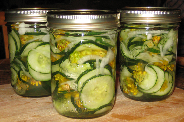 Sweet pickles with stonecrop flowers.