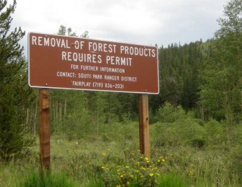 As of September 2011, the South Park Ranger District does not require a mushroom permit. Fungi foraging in the neighboring White River National Forest, however, requires a free permit for personal use.