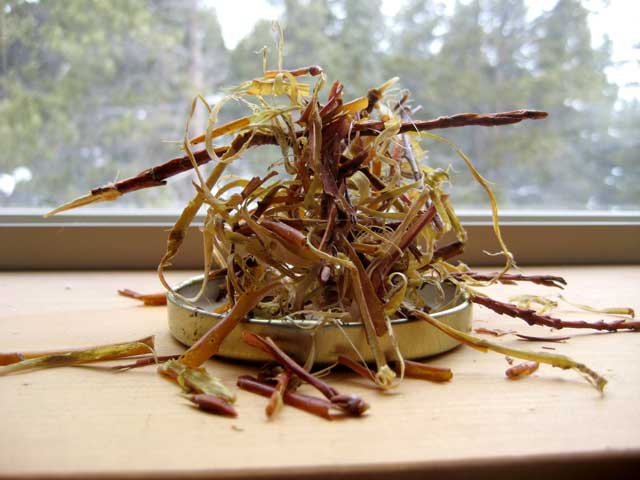 Probably not enough dried willow bark for pain relief.