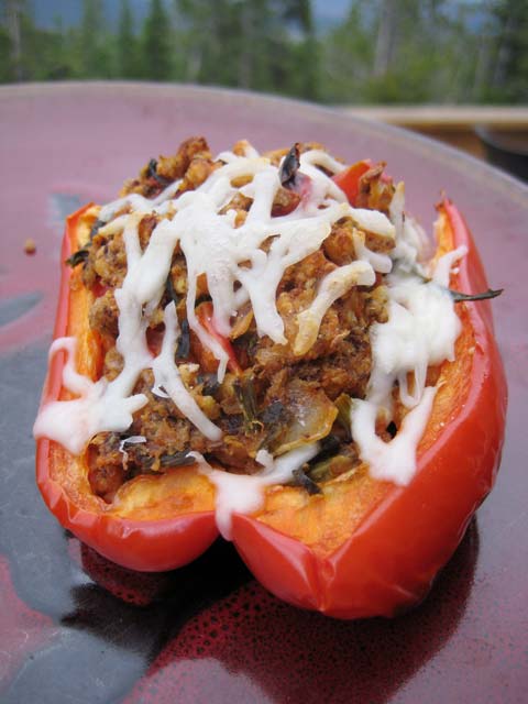 Dock and wild mushroom stuffed pepper, because I was too lazy to dig out the stuffed dock leaves photo from the old hard drive.