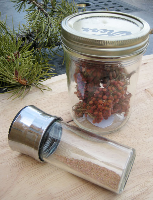 Dried smooth sumac, whole and ground into spice.
