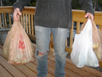 Wild grocery shopping is the best grocery shopping. New knee pictured at left. Pants are not new.