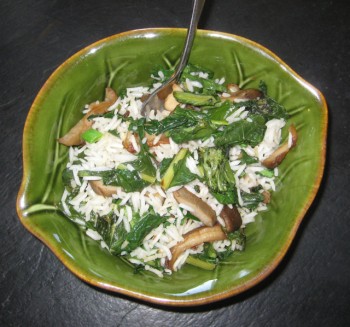 A lunch of stir fried oyster mushrooms, dock, dandelion, and wild garlic, served up by the illustrious Butterpoweredbike.
