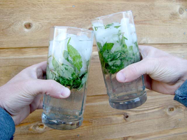 Gregg toasts himself with wild mint mojitos.