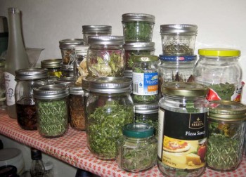 A two-bedroom apartment doesn't leave a lot of room for a wild pantry, but there's enough in these jars to keep me entertained. 