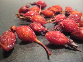 dried-rosehips