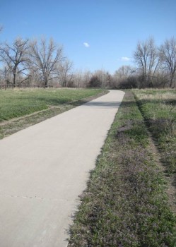 A carpet of musk mustard along Cherry Creek Trail in Parker. Look, but don't pick, at this spot.