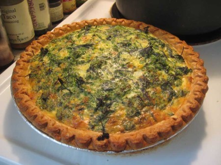 Whitetop and oyster mushroom quiche, a big hit in our house.