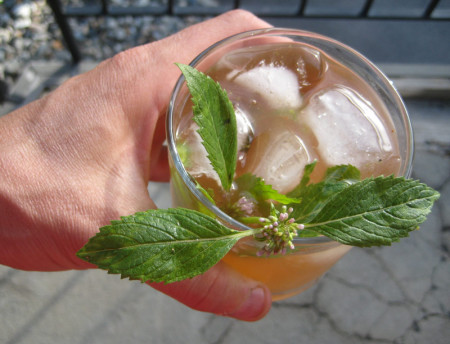 A Rhusty Vodka Mint, I'm calling it--basically tart, squawbush-flavored juice with vodka, seltzer, muddled wild mint, and sugar. 
