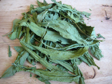 Dock leaves and stems (Rumex sp.), foraged in Breckenridge, Colorado and air-dried for storage.