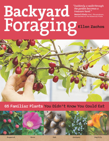 Backyard-Foraging-cover