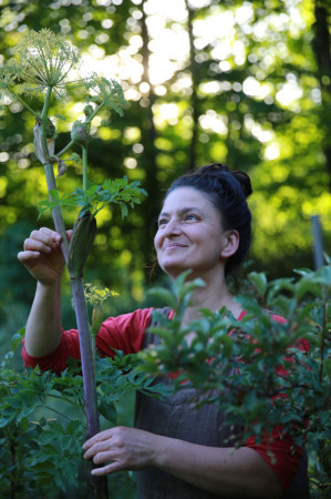 Author and herbalist Dina Falconi, with angelica. Photo by Steffen Thalemann.
