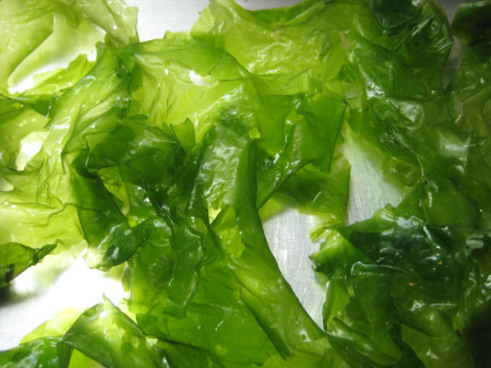 Sea lettuces look like thin, green cellophane. Foraged from clean waters, they make for a delicious umami treat.