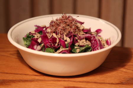 After the goosefoot sprouts turned red-purple, I served them atop a salad with broccoli, red cabbage, and sunflower seeds. 