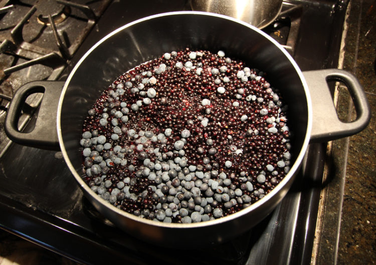 Black elderberries foraged from the Denver suburbs, and Oregon grapes for added tartness.