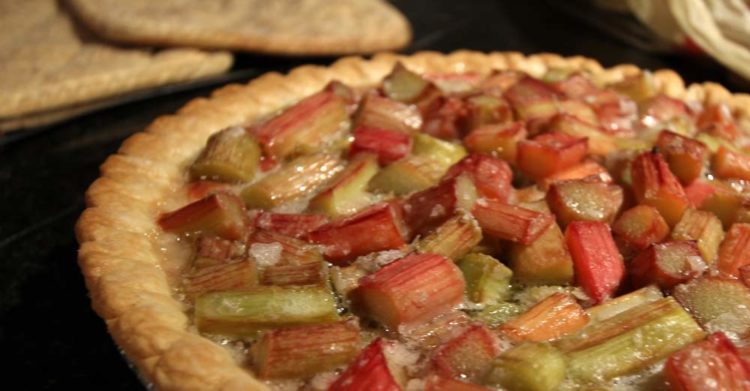 I am not afraid to use a pre-made crust if it means I get to eat rhubarb pie.