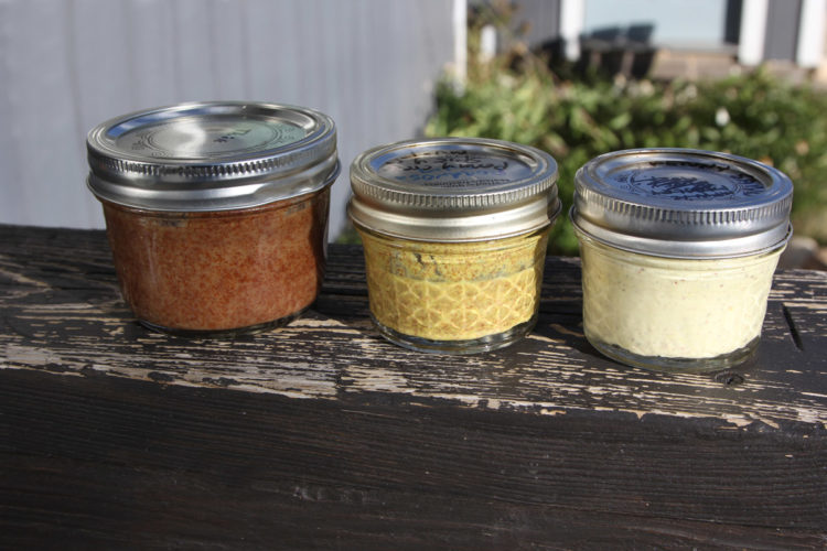 From left to right: pennycress honey mustard, spicy pennycress mustard, and pennycress sandwich spread.